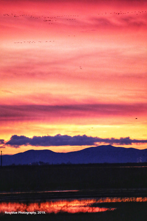 Tri-Colored Sunset Over Mt. Diablo